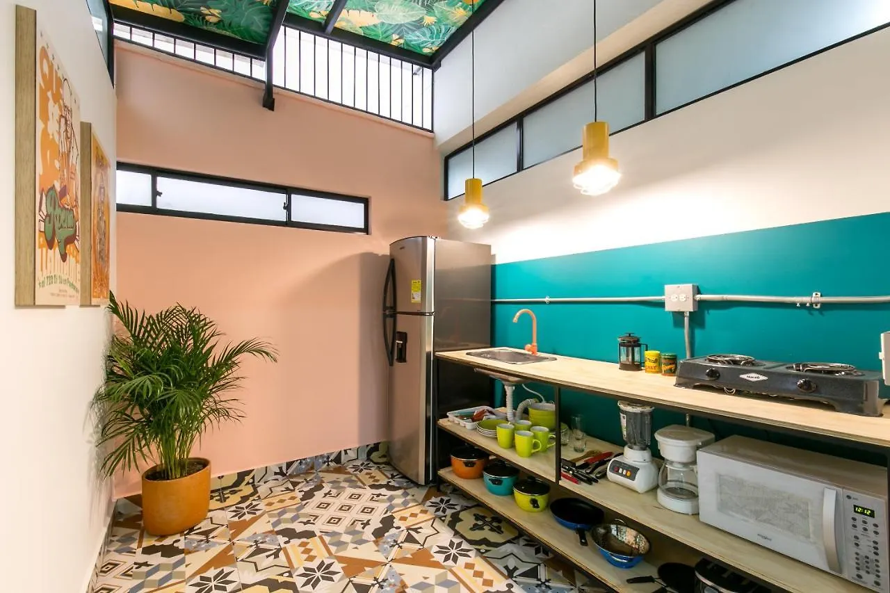Studios Amarillo-Morado-Ocre Medellín Colombia